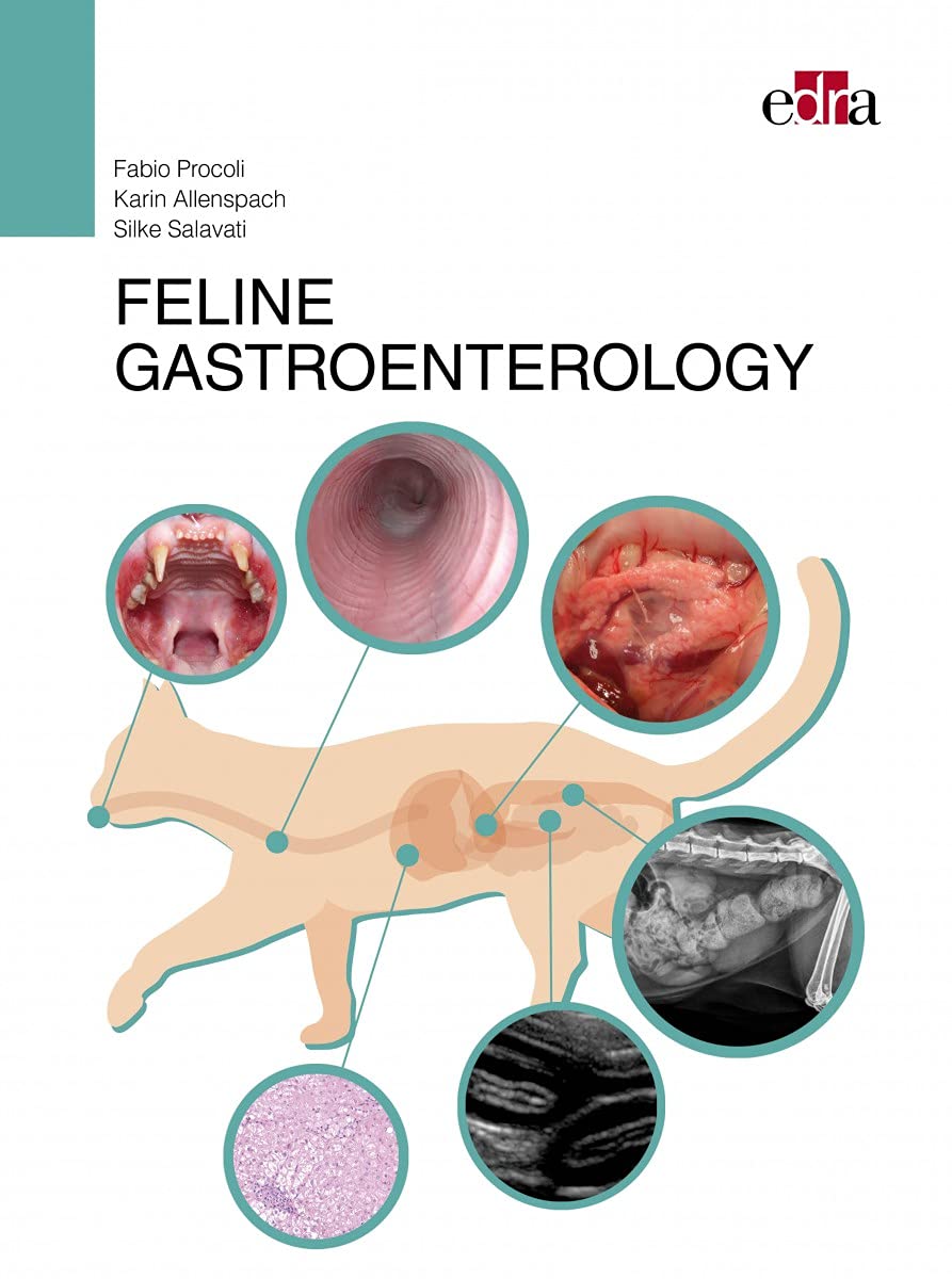 Feline Gastroentology