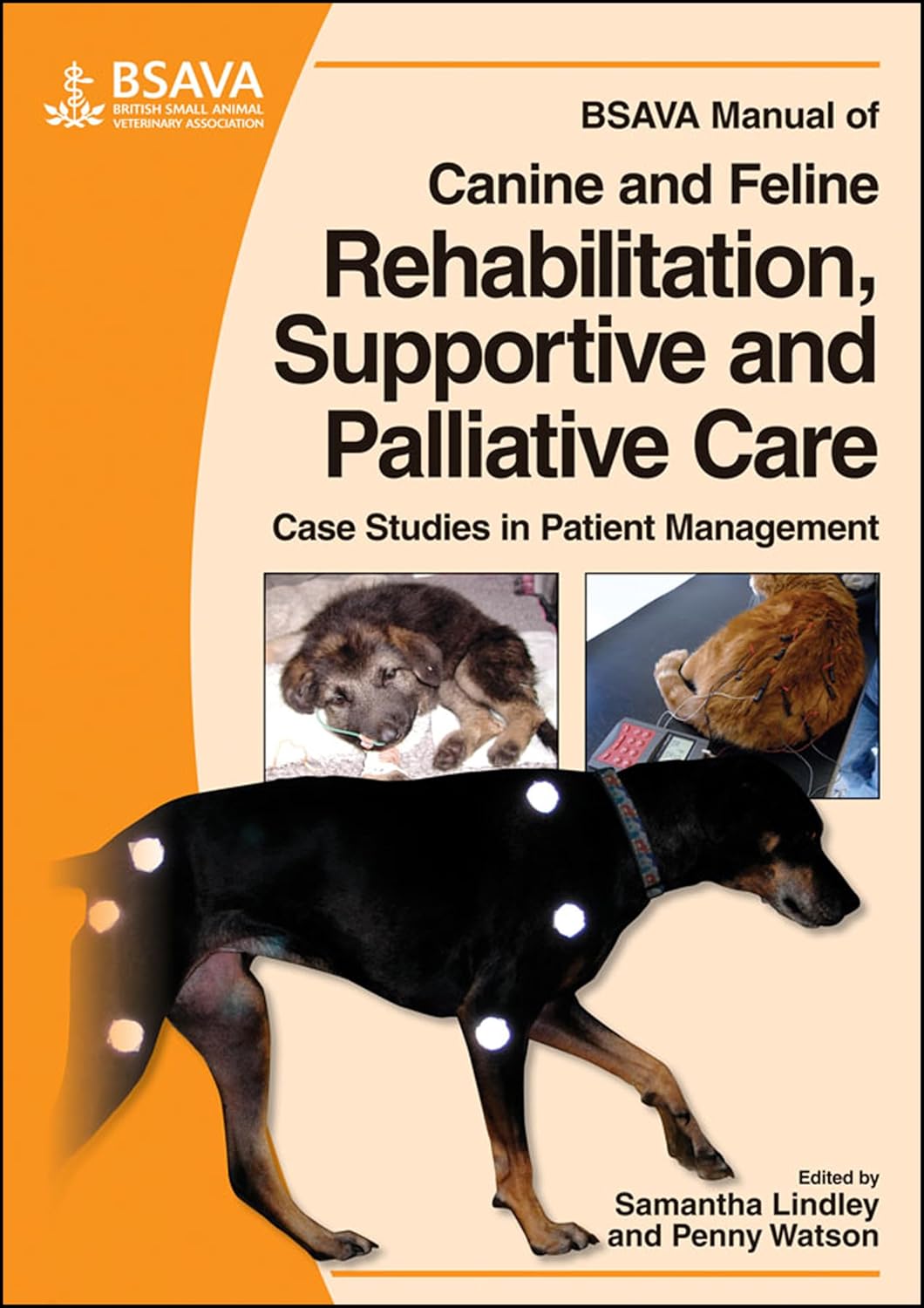 BSAVA Manual of Canine and Feline Rehabilitation, Supportive and Palliative Care: Case Studies in Patient Management 1st Edition