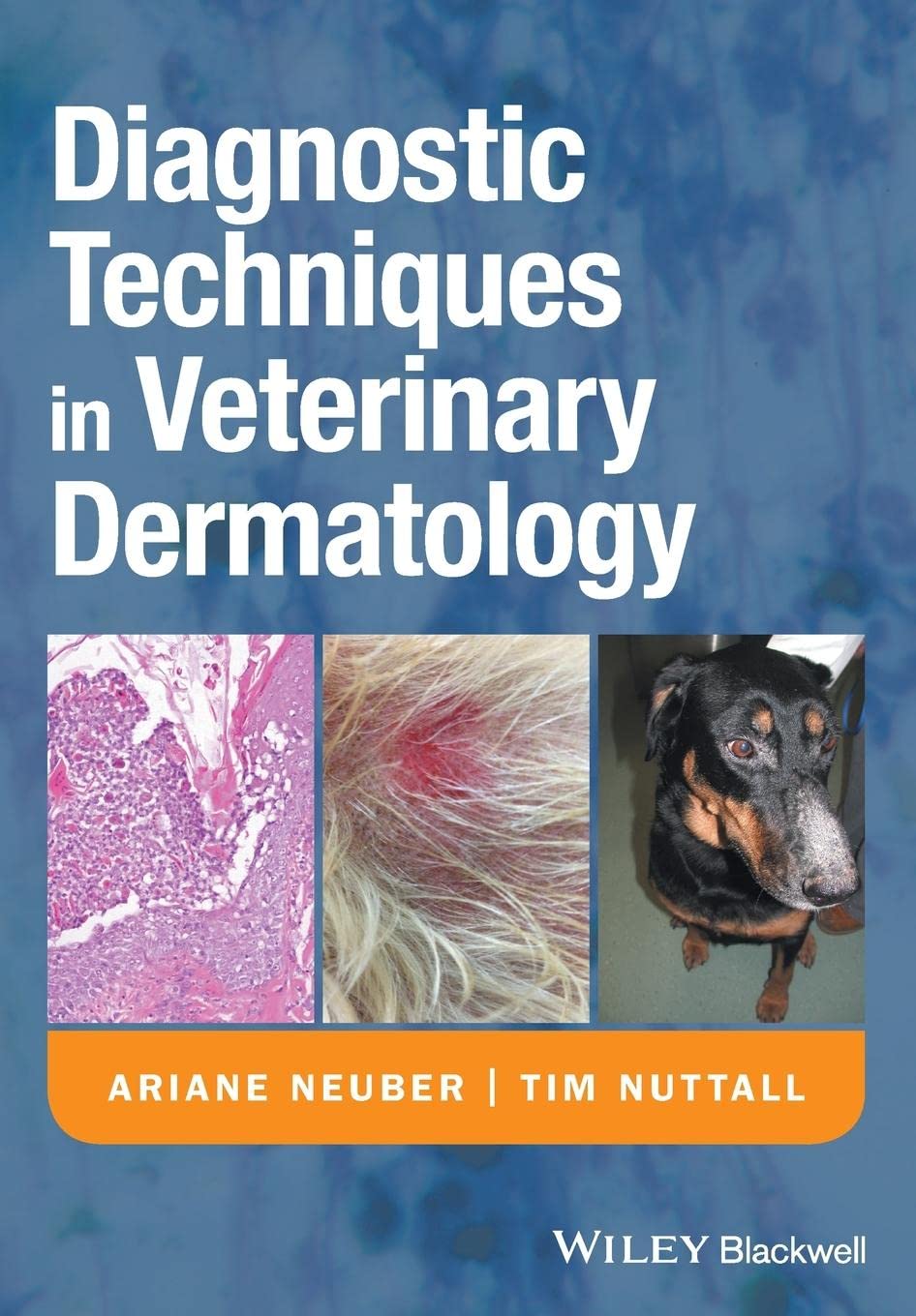 Diagnostic Techniques in Veterinary Dermatology 1st Edition