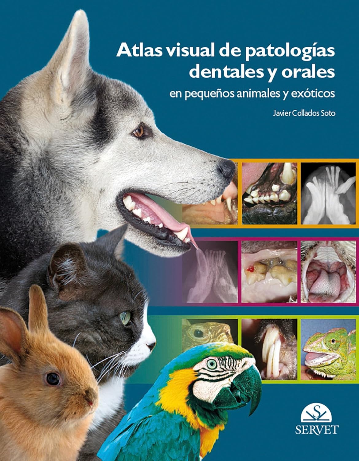 Atlas visual de patologías dentales y orales en pequeños animales y exóticos