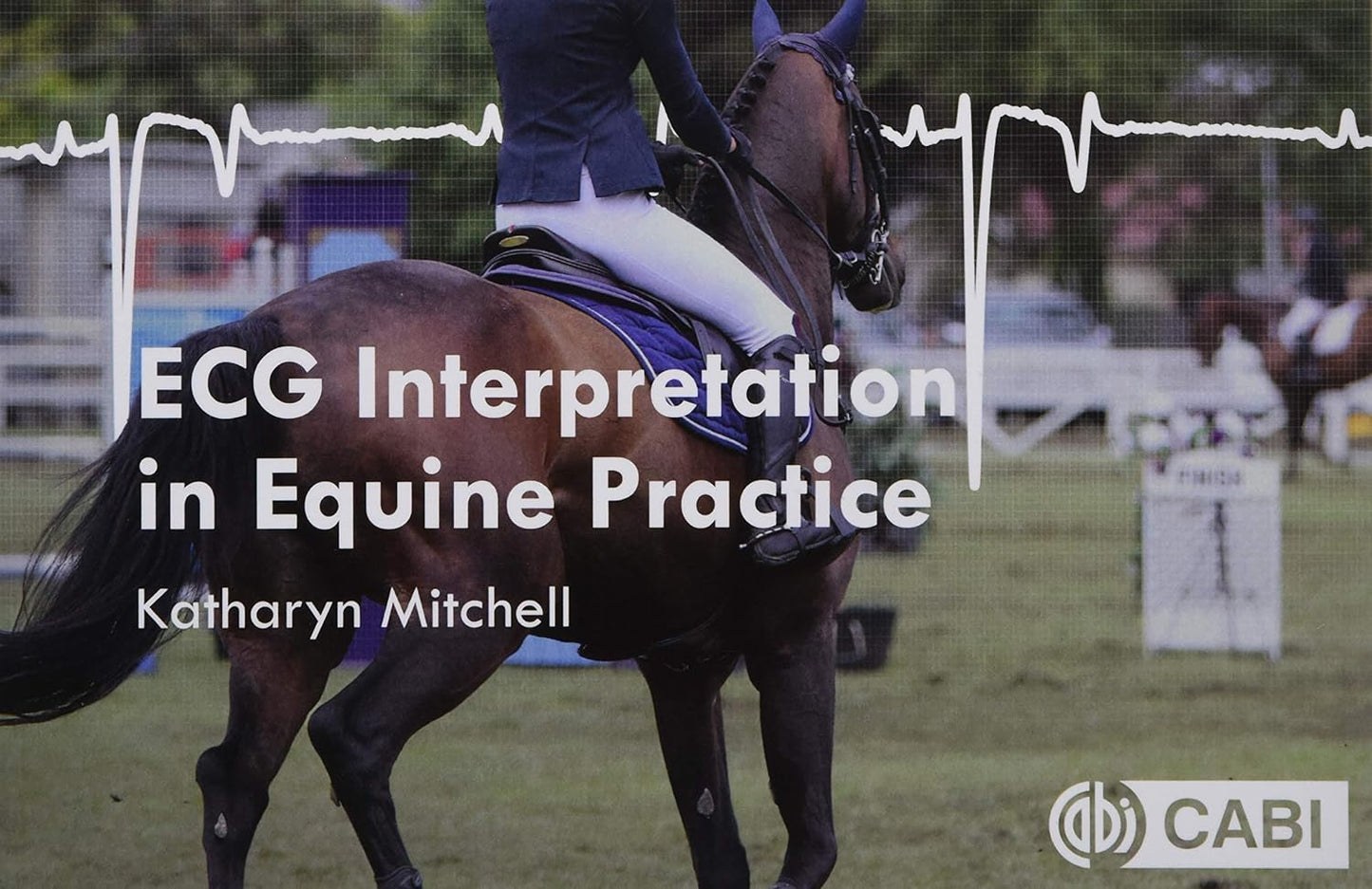 ECG Interpretation in Equine Practice