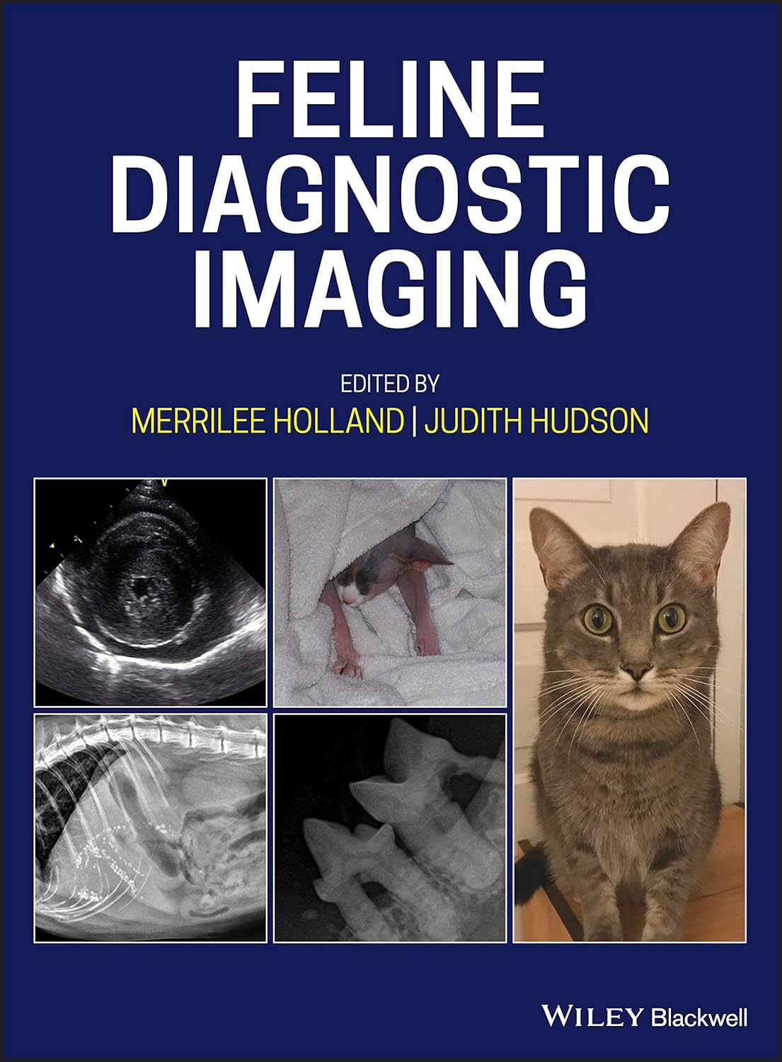 Feline Diagnostic Imaging 1st Edition