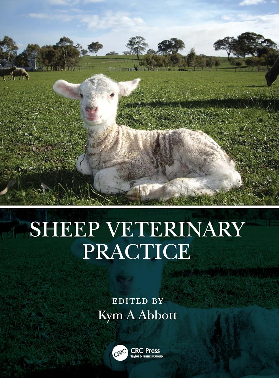 The Sheep Veterinary Practice 1st Edition
