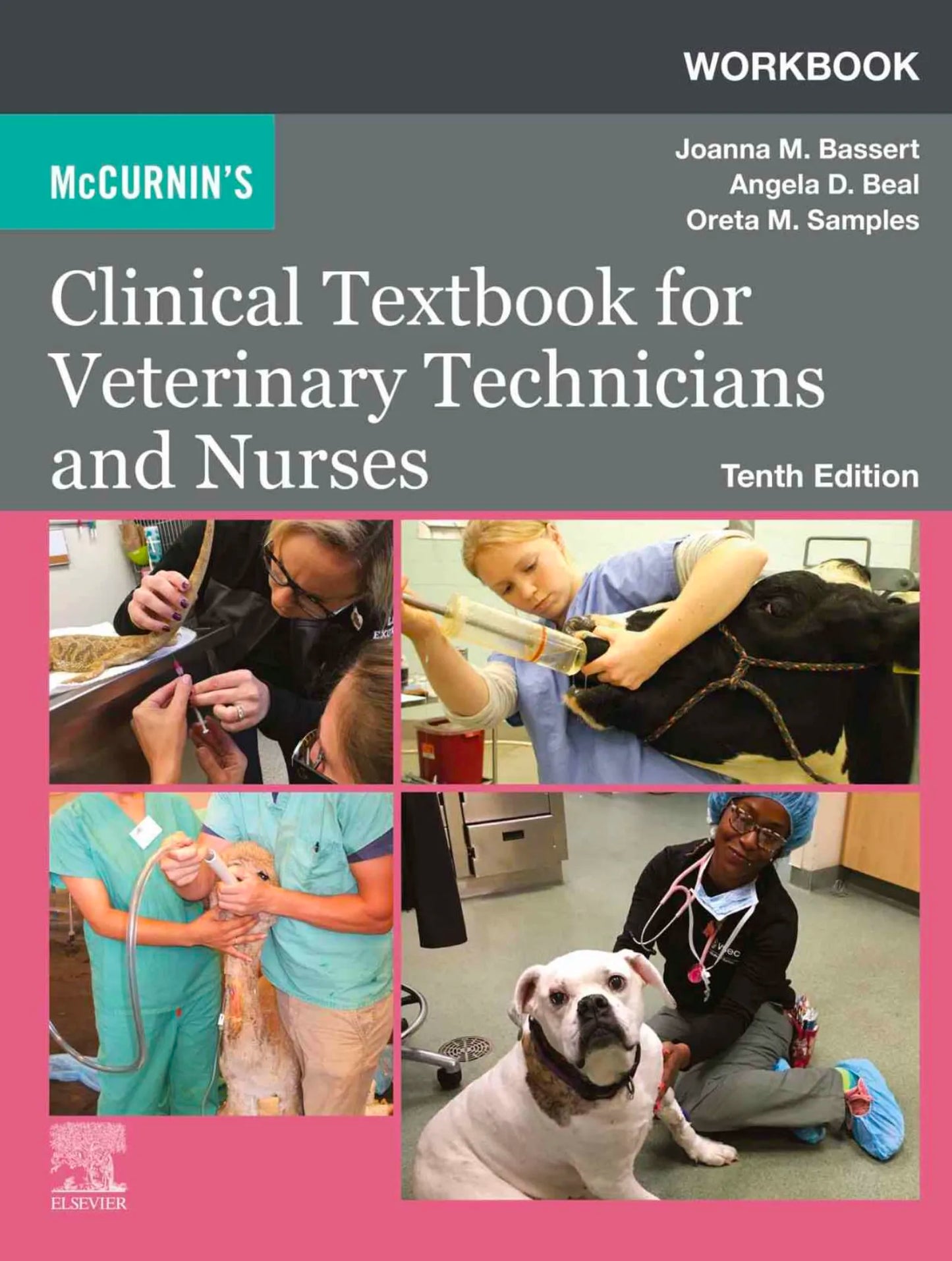 McCurnin's Clinical Textbook for Veterinary Technicians and Nurses 10th Edition