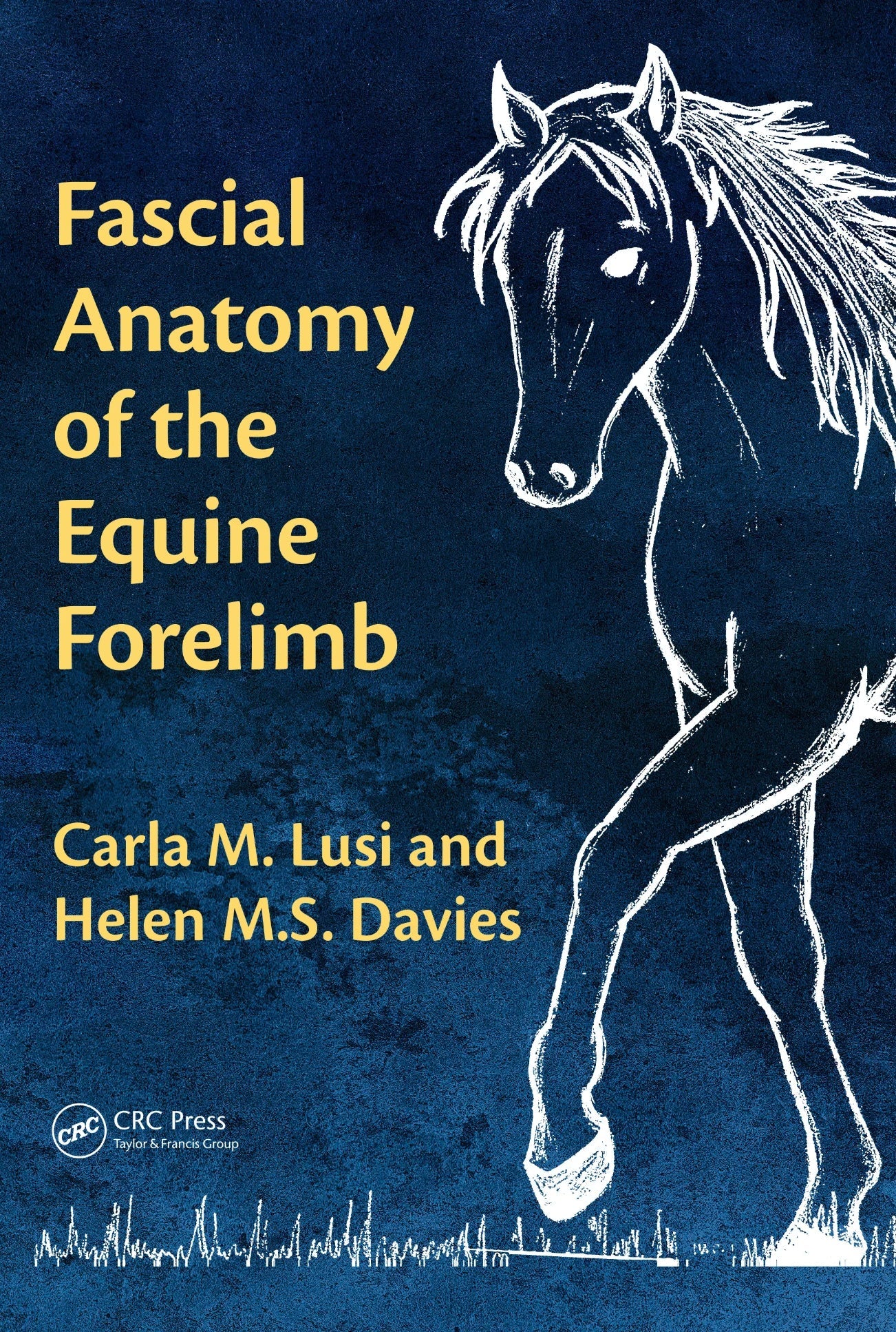 Fascial Anatomy of the Equine Forelimb 1st Edition