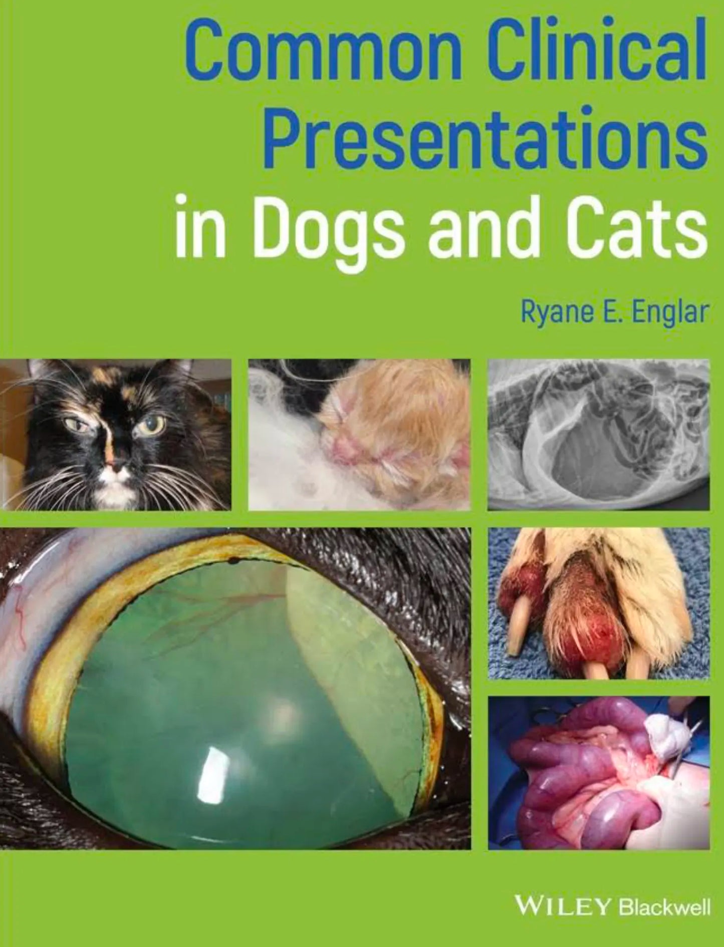 Common Clinical Presentations in Dogs and Cats 1st Edition