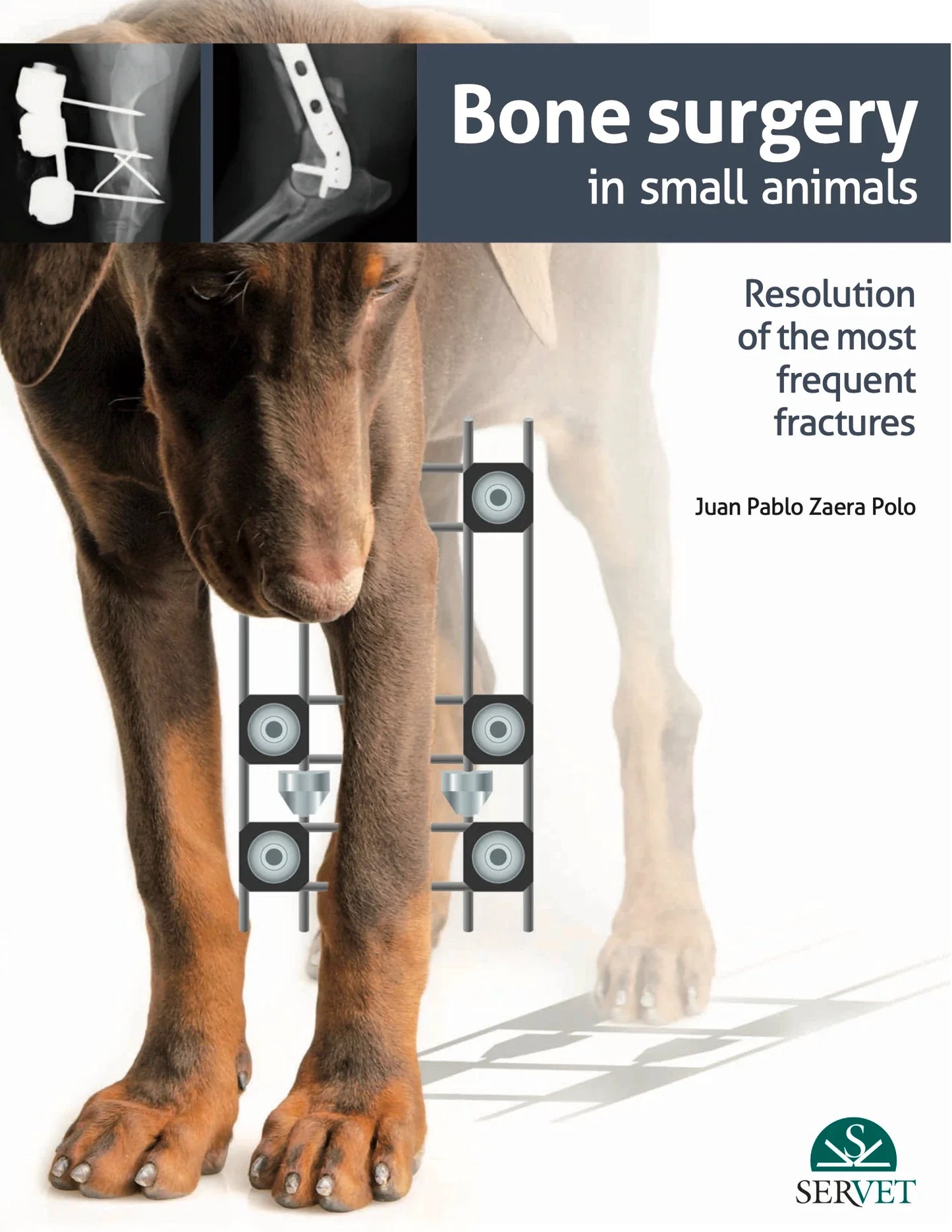 Bone surgery in small animals