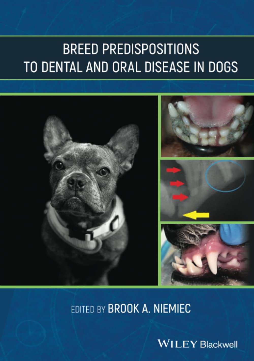 Hereditary Dental and Oral Disease in Dogs 1st Edition