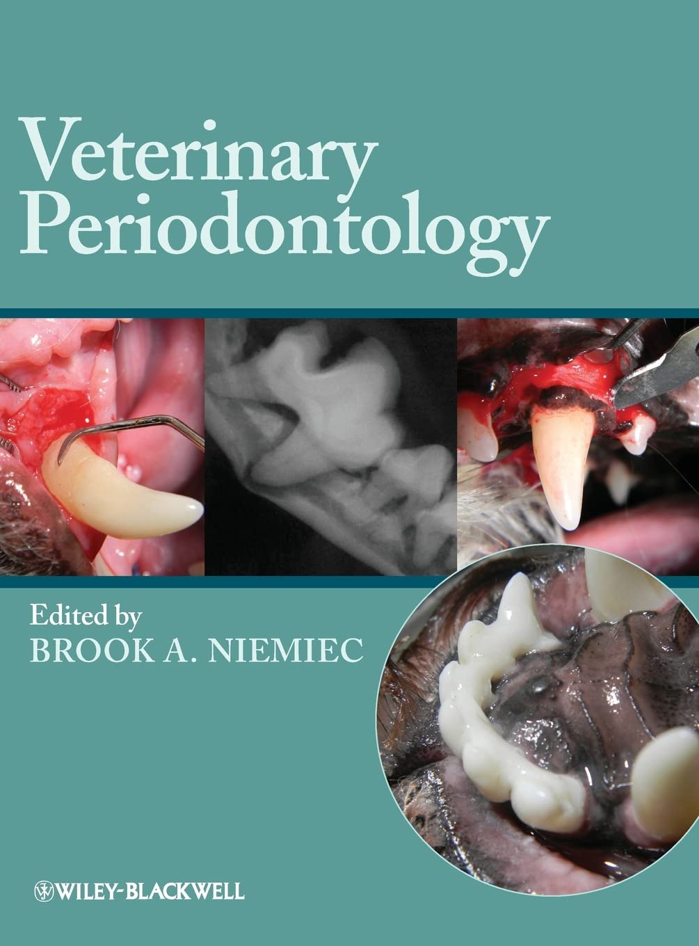 Veterinary Periodontology 1st Edition