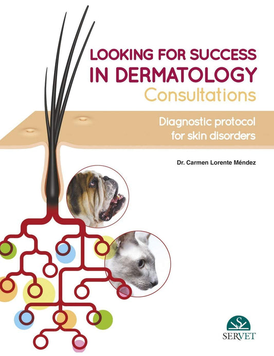 Looking for Success in Dermatology Consultations. Diagnostic Protocol for Skin Disorders
