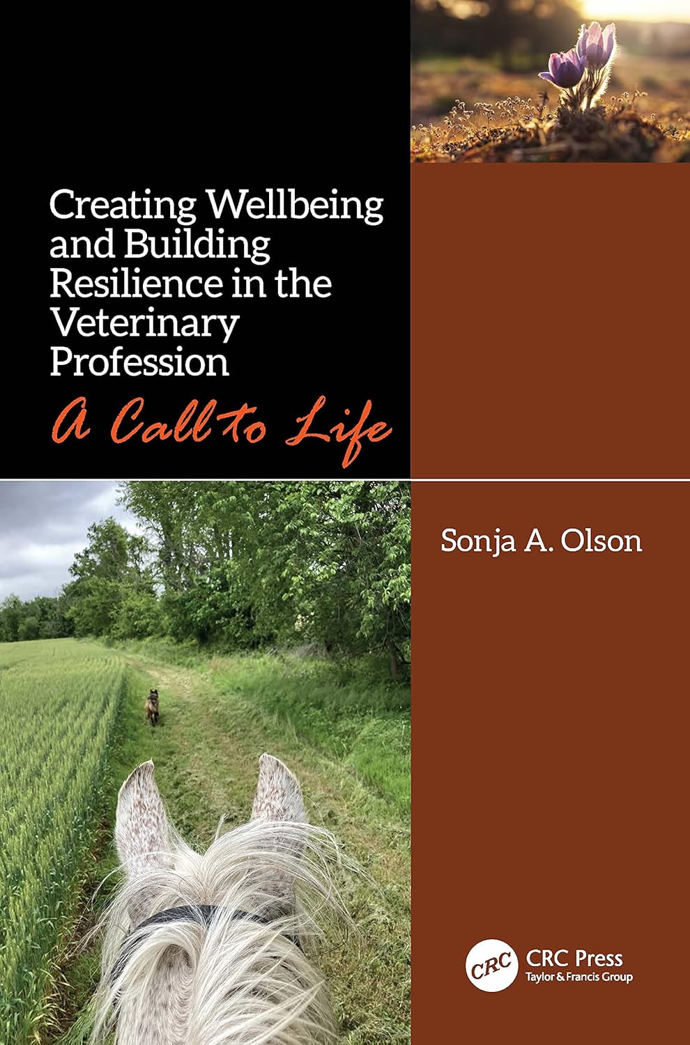 Creating Wellbeing and Building Resilience in the Veterinary Profession 1st Edition