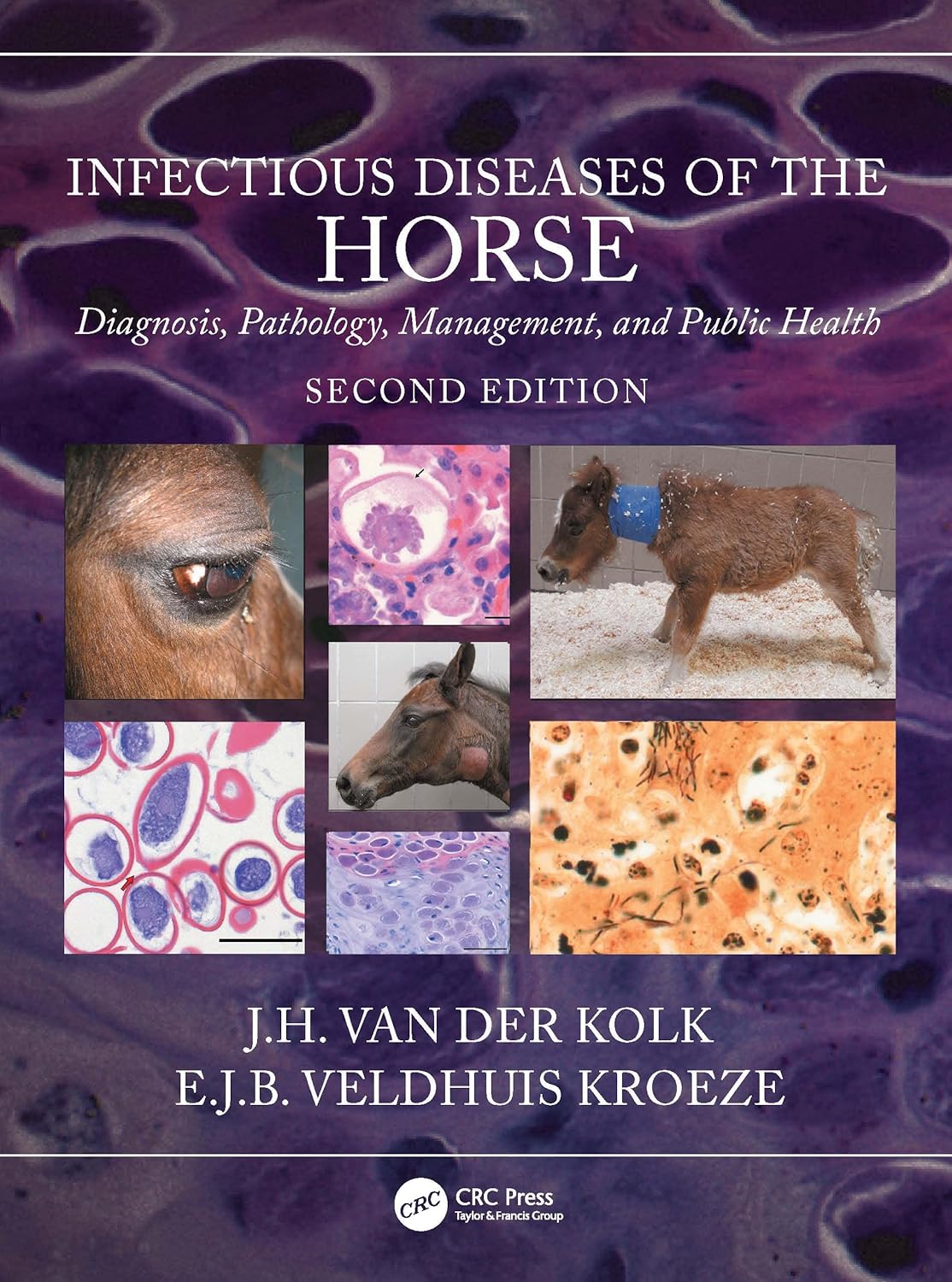 Infectious Diseases of the Horse: Diagnosis, pathology, management, and public health 2nd Edition