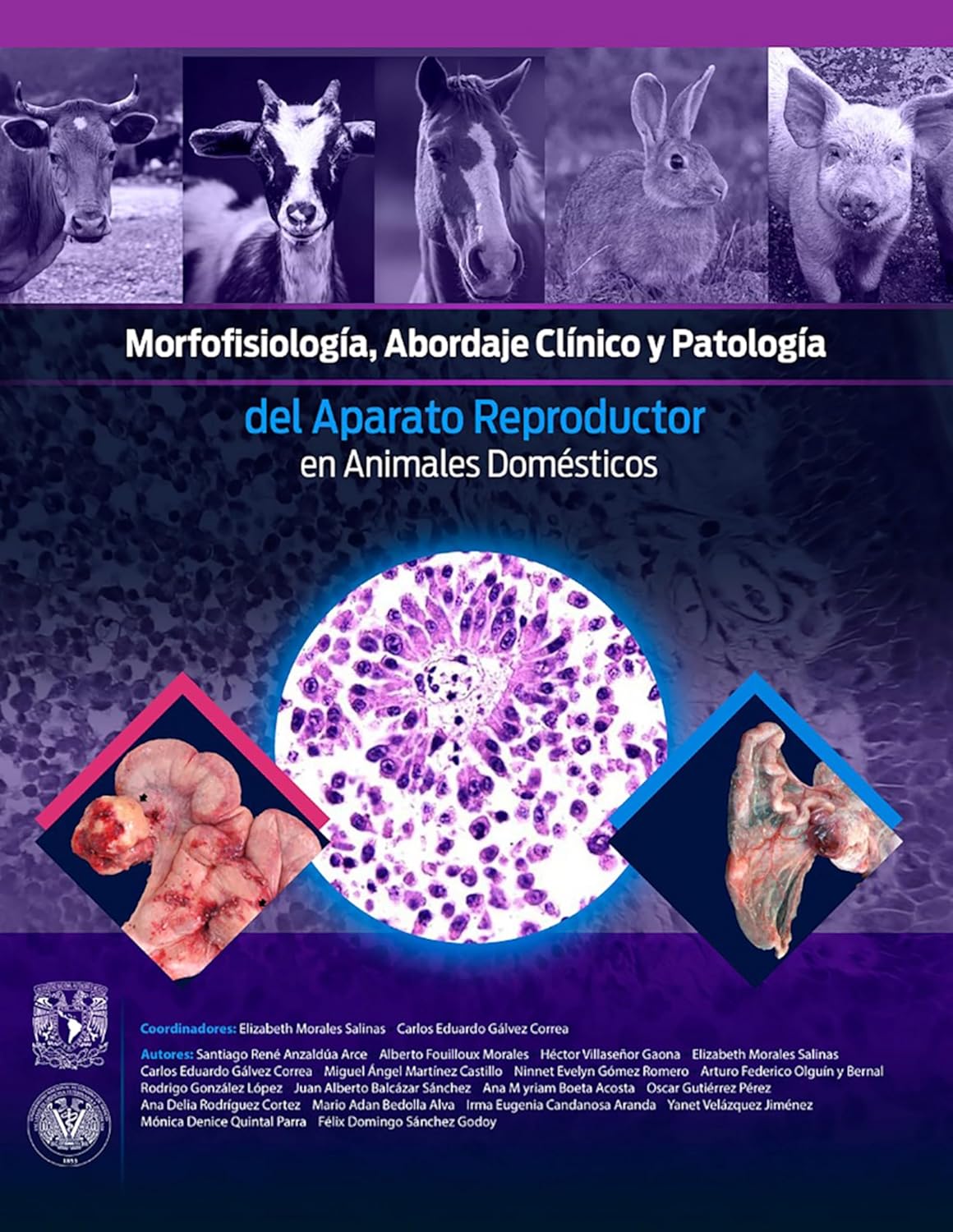 Morfofisiología, abordaje clínico y patología del aparato reproductor en animales domésticos