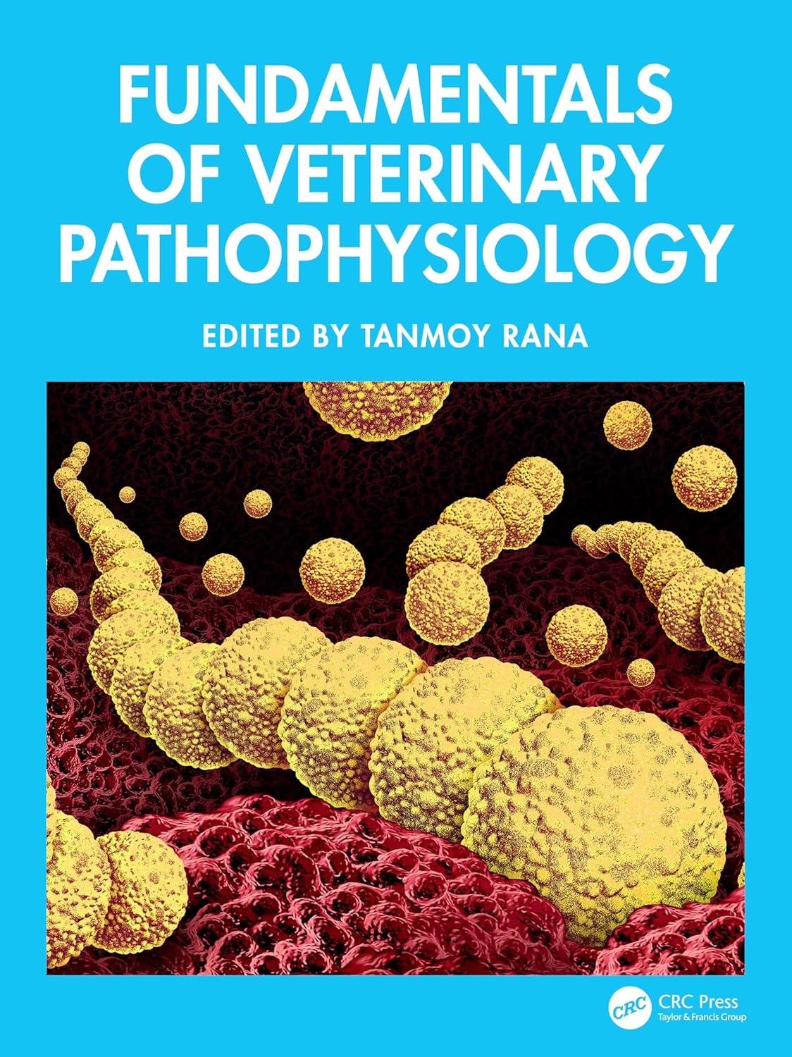 [June 12, 2025] Fundamentals of Veterinary Pathophysiology 1st Edition