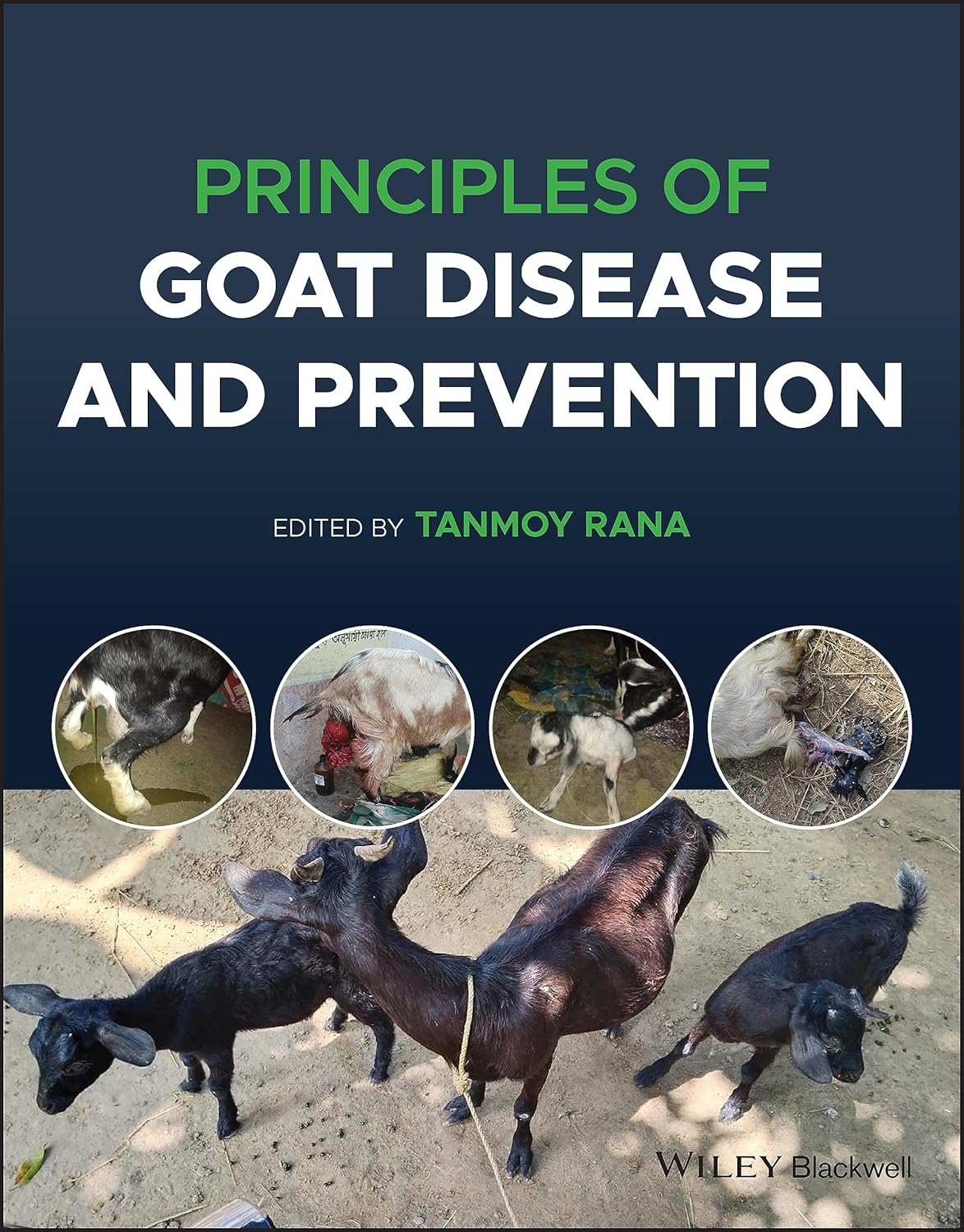 Principles of Goat Disease and Prevention 1st Edition