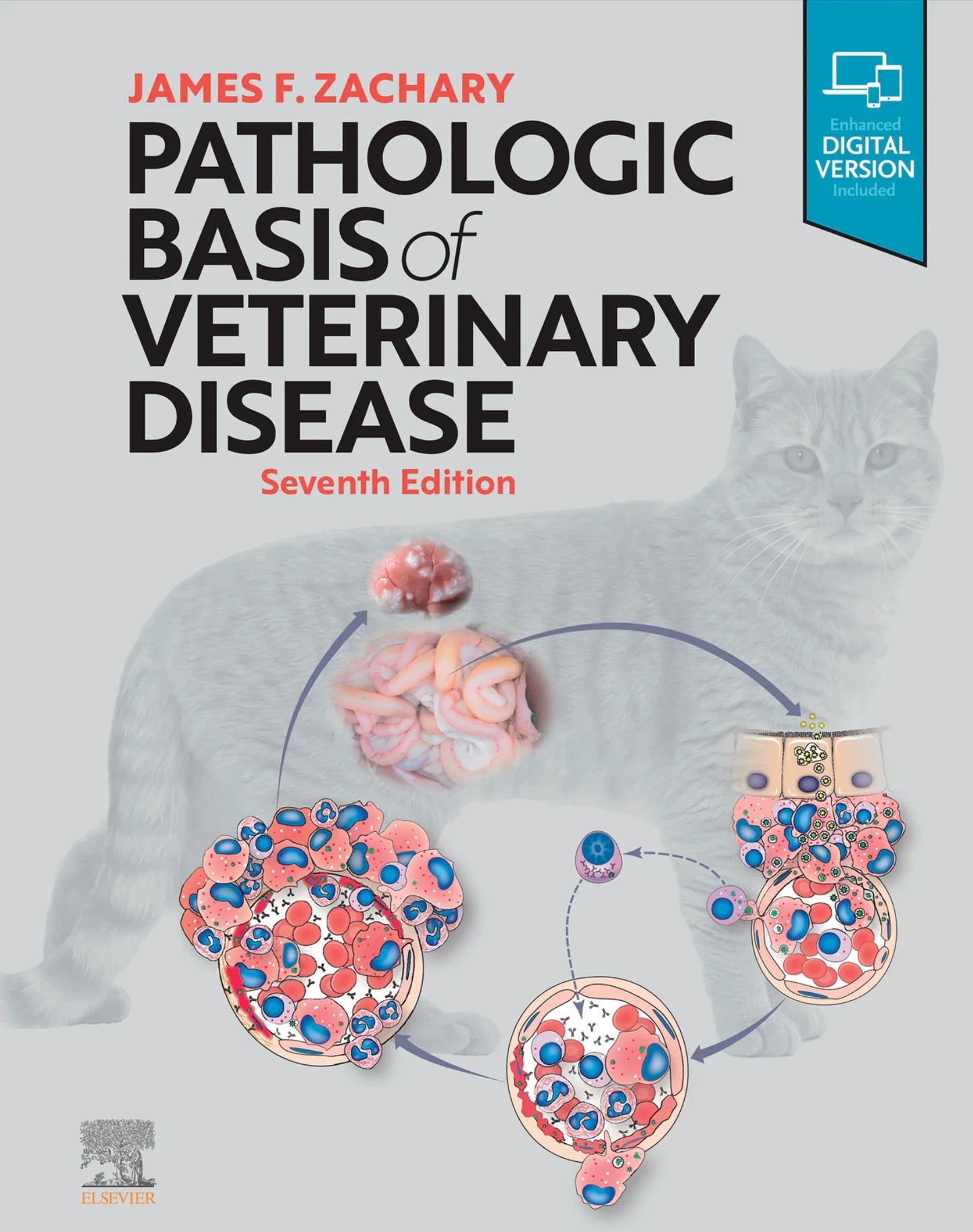 Pathologic Basis of Veterinary Disease 7th Edition
