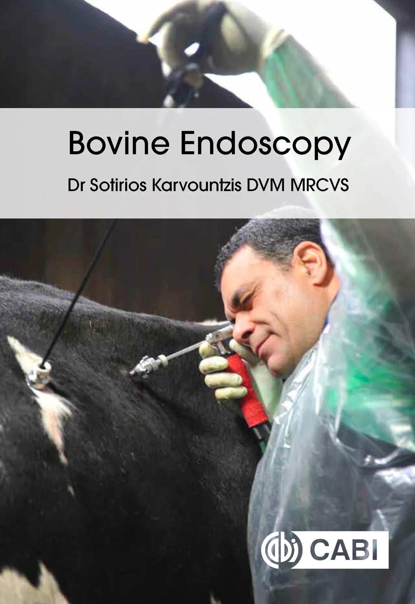 Bovine Endoscopy