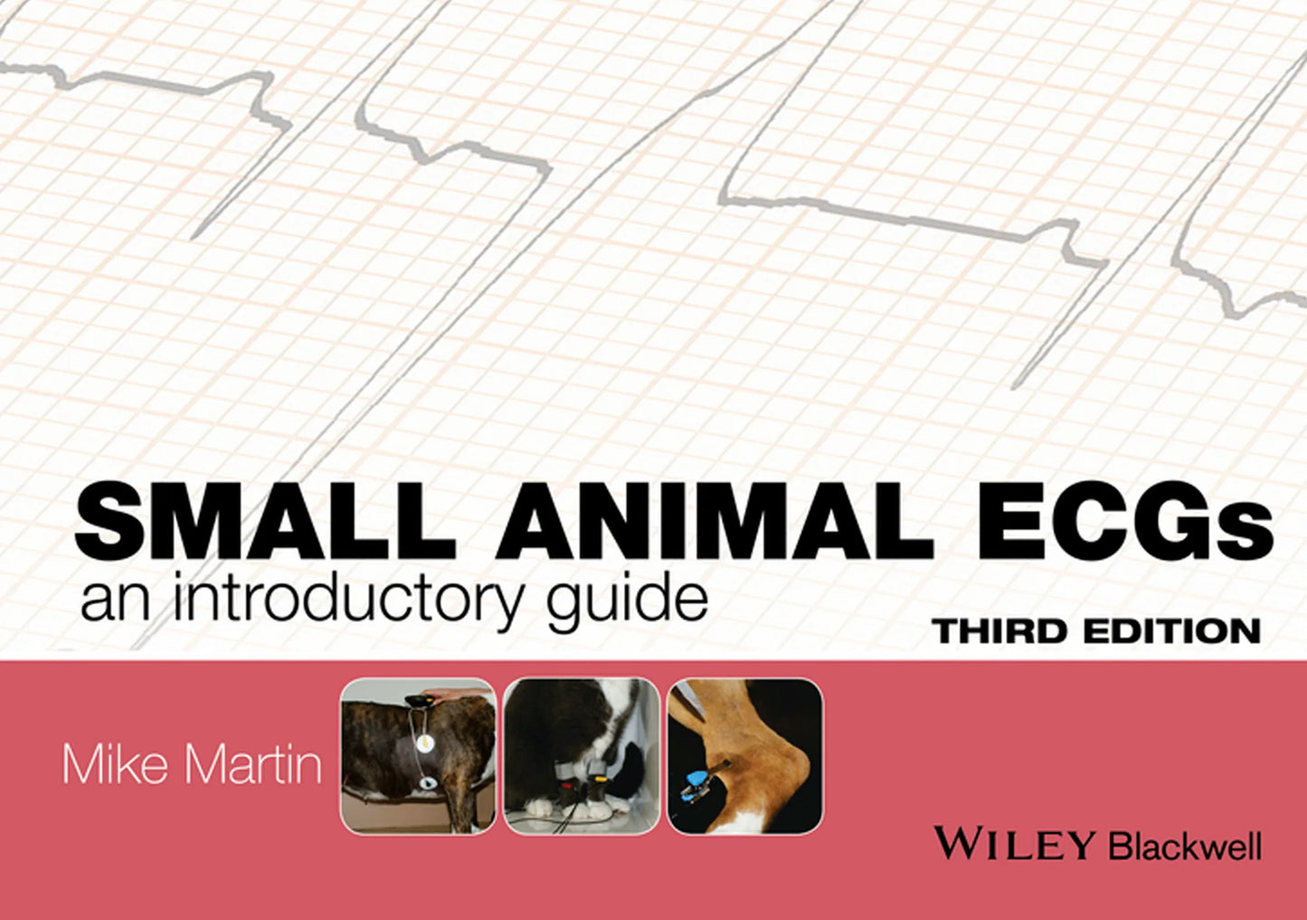 Small Animal ECGs: An Introductory Guide 3rd Edition