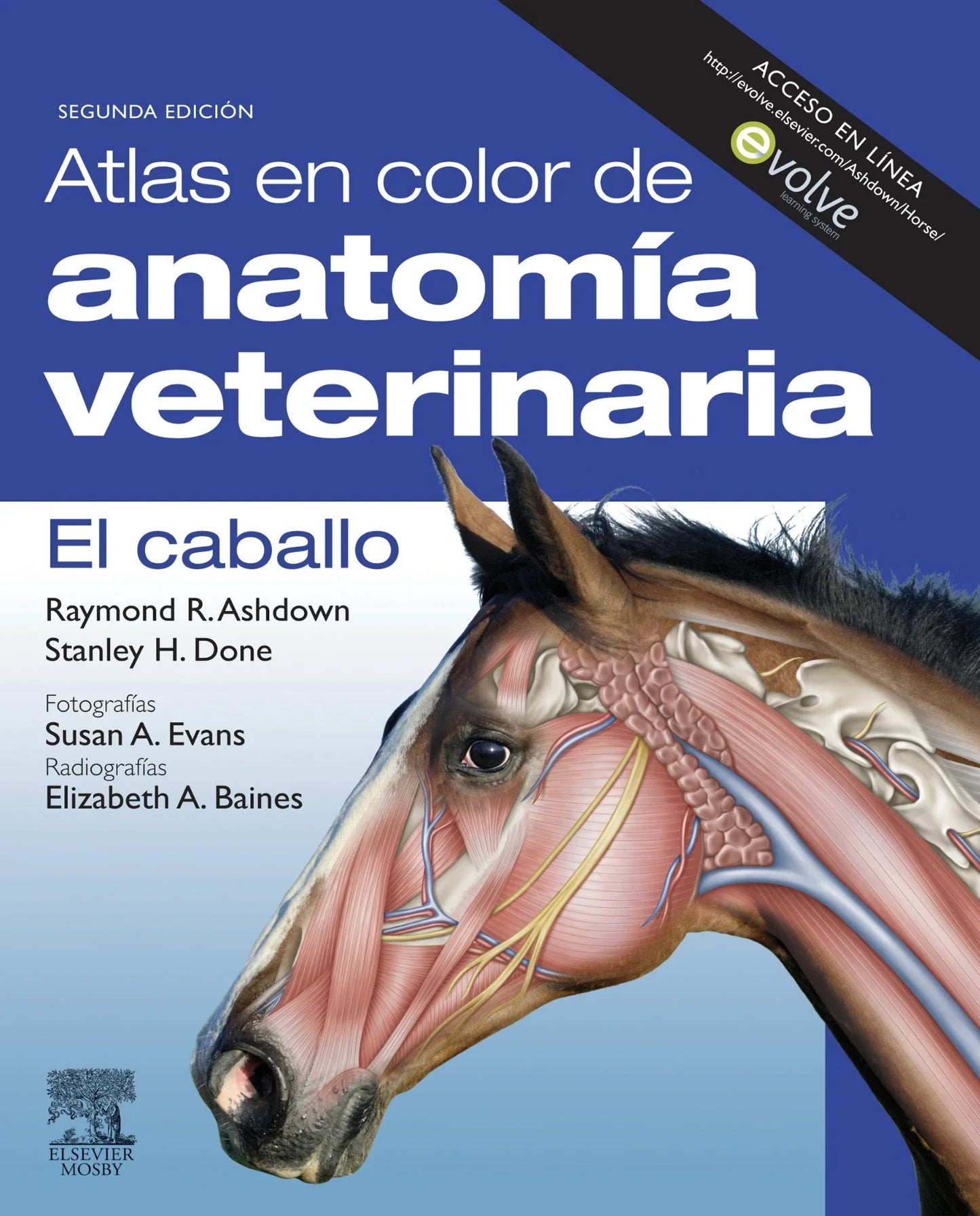 Atlas en color de anatomía veterinaria. El caballo