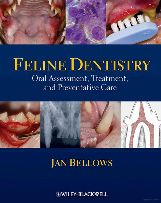 Feline Dentistry Oral Assessment, Treatment, and Preventative Care